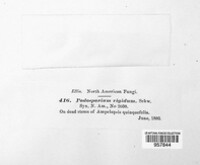 Image Associated With the Occurence